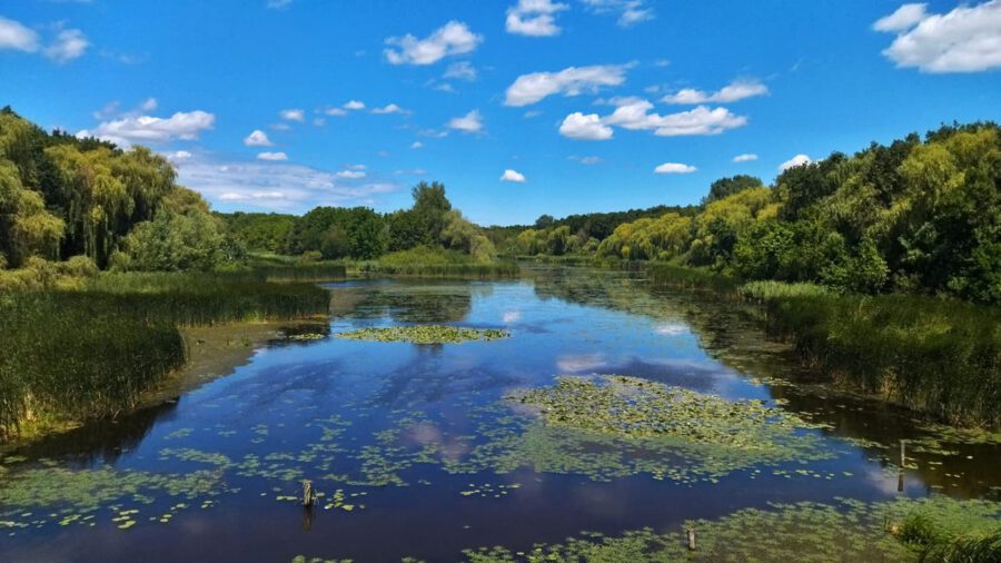 Kányavári-sziget: a természet szerelmeseinek Mekkája a Kis-Balaton szívében