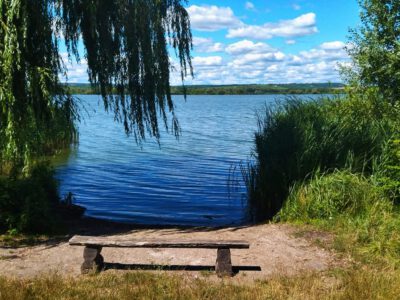 Kányavári-sziget: a természet szerelmeseinek Mekkája a Kis-Balaton szívében