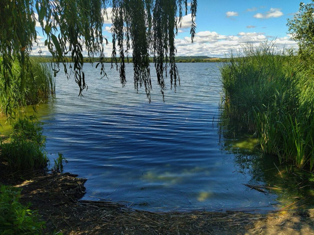 Kányavári-sziget: a természet szerelmeseinek Mekkája a Kis-Balaton szívében