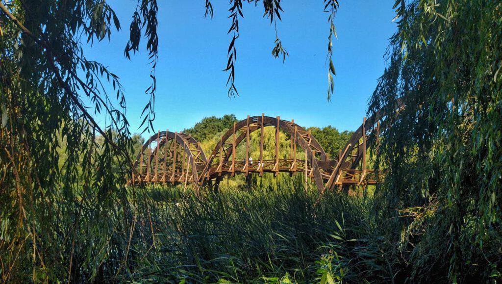 Kányavári-sziget: a természet szerelmeseinek Mekkája a Kis-Balaton szívében