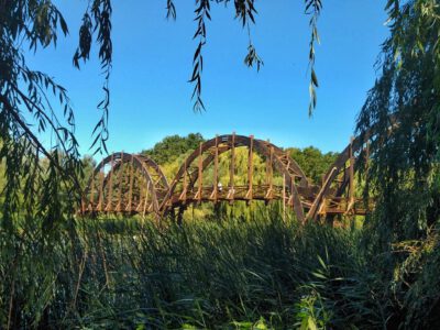 Kányavári-sziget: a természet szerelmeseinek Mekkája a Kis-Balaton szívében