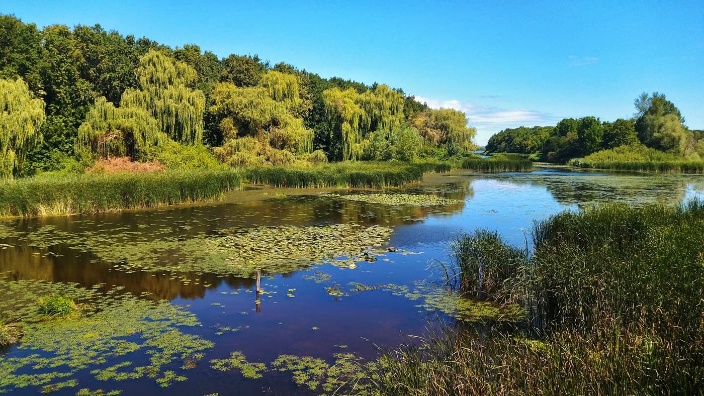 Kányavári-sziget: a természet szerelmeseinek Mekkája a Kis-Balaton szívében