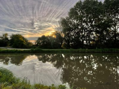 A Balaton délnyugati partjának elfeledett mocsárvilága: a Berek Fonyódnál