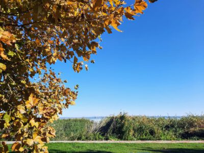 Révfülöp, a Balaton északi partjának gyöngyszeme, ősszel is vonzó úti cél