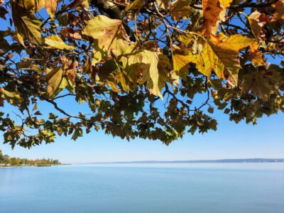 Révfülöp, a Balaton északi partjának gyöngyszeme, ősszel is vonzó úti cél