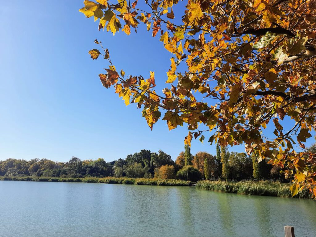 Révfülöp, a Balaton északi partjának gyöngyszeme, ősszel is vonzó úti cél