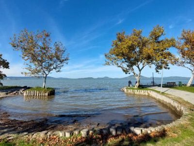 Őszi séták és csendes pillanatok Balatonfenyvesen