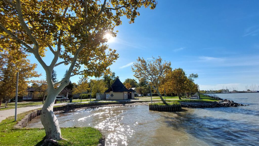Őszi séták és csendes pillanatok Balatonfenyvesen