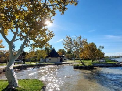 Őszi séták és csendes pillanatok Balatonfenyvesen