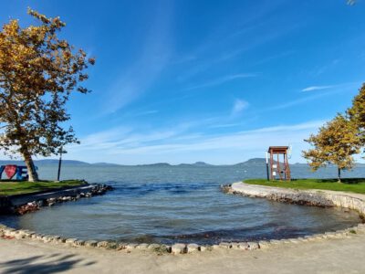 Őszi séták és csendes pillanatok Balatonfenyvesen