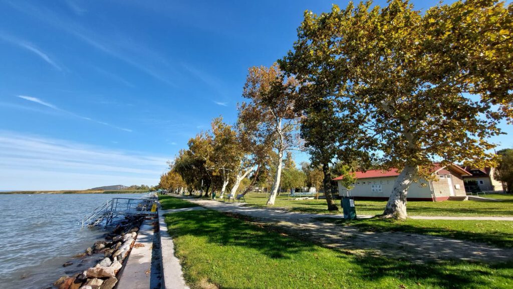 Őszi séták és csendes pillanatok Balatonfenyvesen