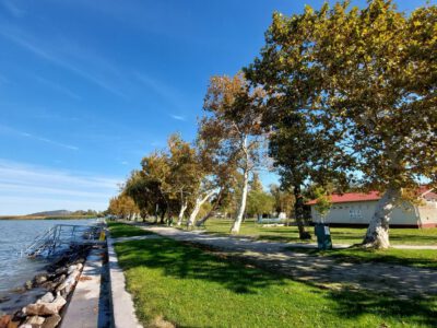 Őszi séták és csendes pillanatok Balatonfenyvesen