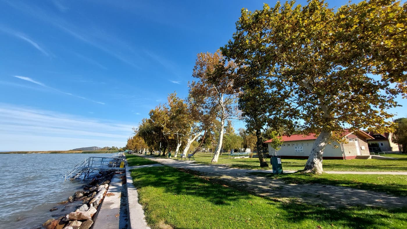 Őszi séták és csendes pillanatok Balatonfenyvesen