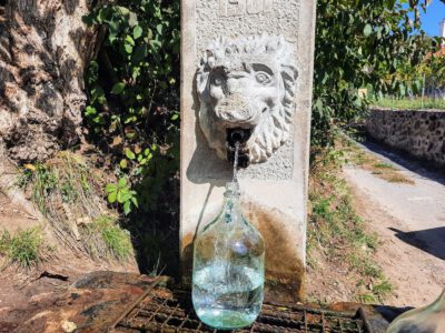Őszi túra élményekkel: a természet mesterművei a Szent György-hegyen