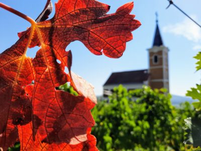 Őszi túra élményekkel: a természet mesterművei a Szent György-hegyen