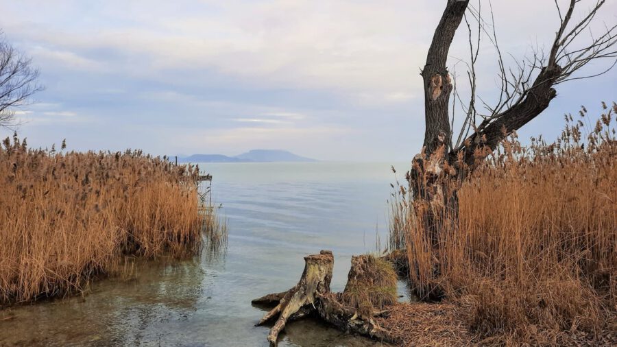 Ahol a csend mesél: a Soós-öböl varázslata Balatongyörökön