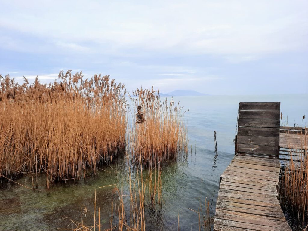 Ahol a csend mesél: a Soós-öböl varázslata Balatongyörökön