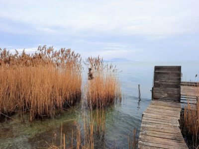 Ahol a csend mesél: a Soós-öböl varázslata Balatongyörökön