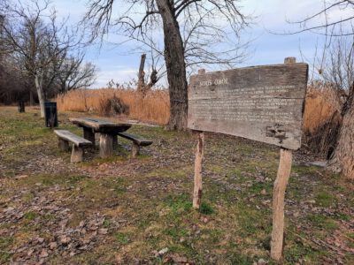 Ahol a csend mesél: a Soós-öböl varázslata Balatongyörökön