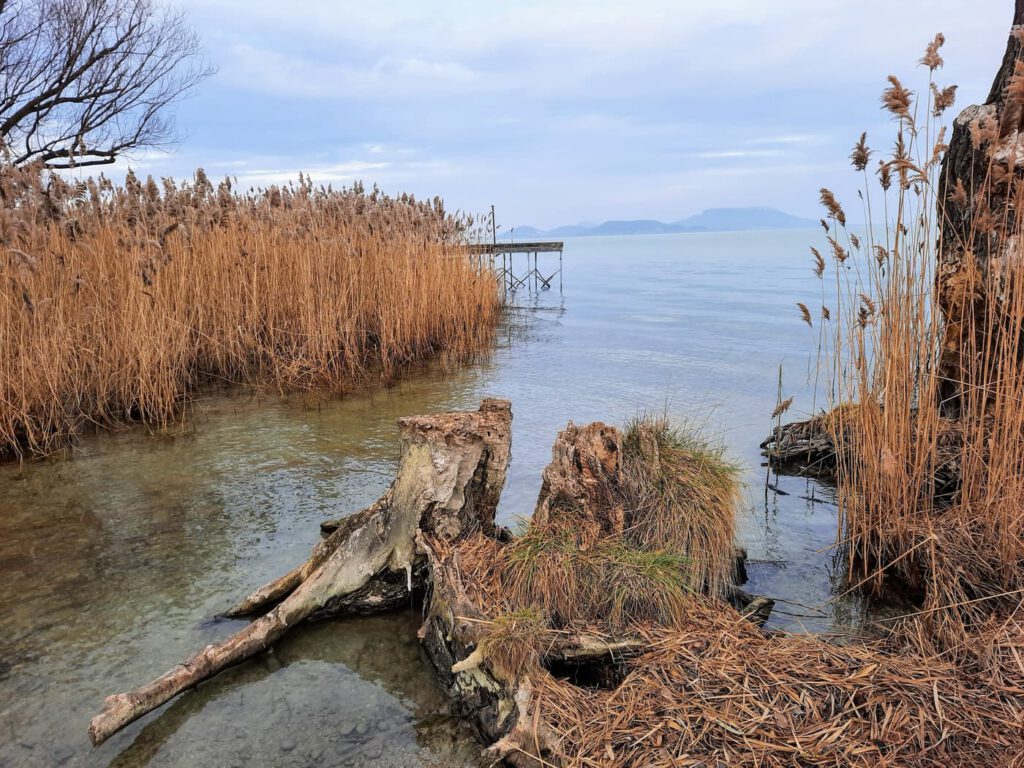 Ahol a csend mesél: a Soós-öböl varázslata Balatongyörökön