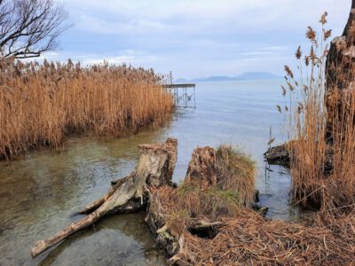 Ahol a csend mesél: a Soós-öböl varázslata Balatongyörökön