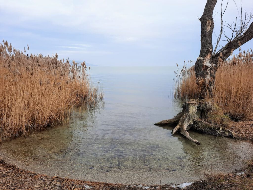 Ahol a csend mesél: a Soós-öböl varázslata Balatongyörökön