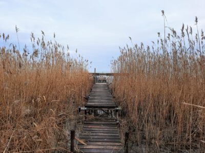 Ahol a csend mesél: a Soós-öböl varázslata Balatongyörökön