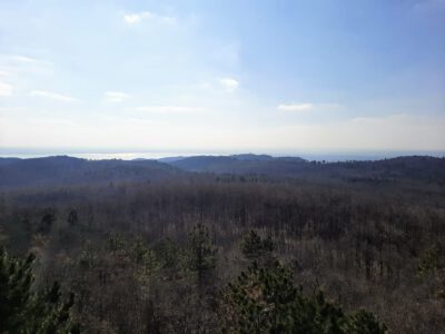 Kilátás, amiért érdemes útra kelni – A Padkűi-kilátó panorámája