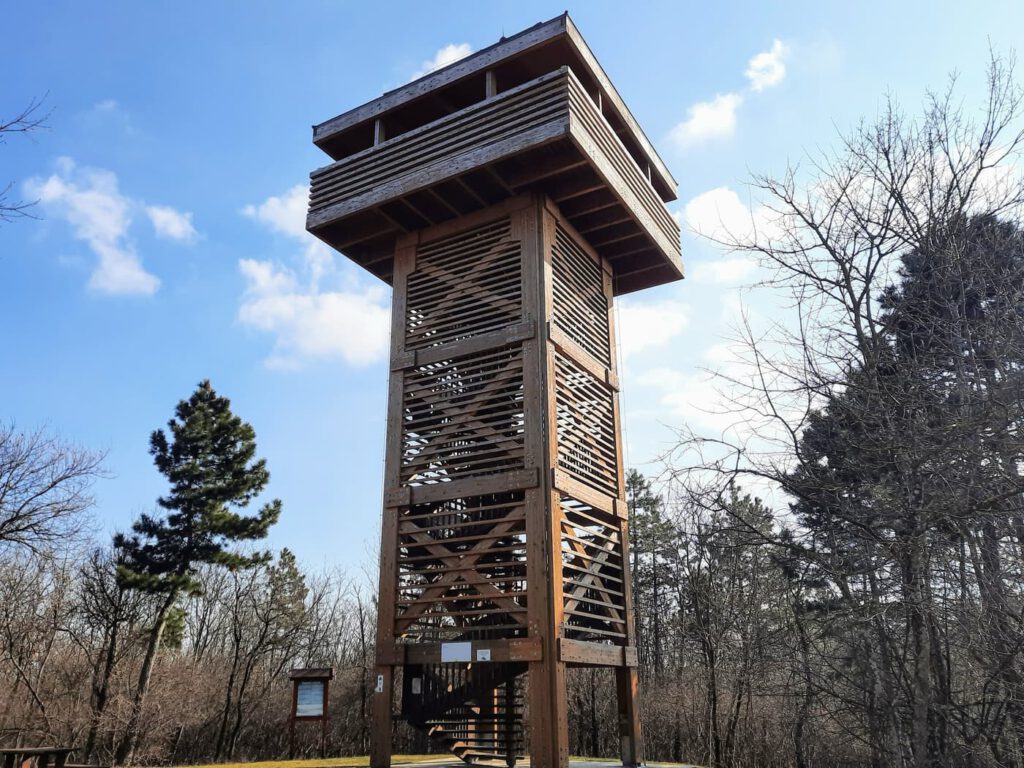 Kilátás, amiért érdemes útra kelni – A Padkűi-kilátó panorámája