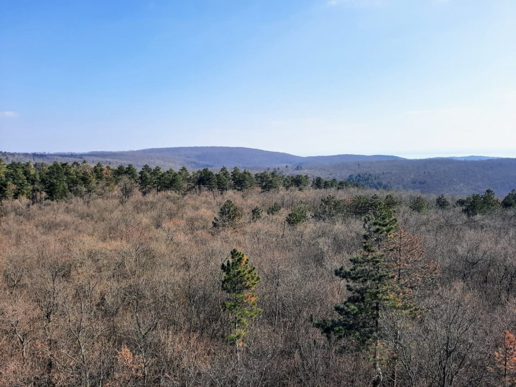 Kilátás, amiért érdemes útra kelni – A Padkűi-kilátó panorámája