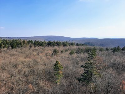 Kilátás, amiért érdemes útra kelni – A Padkűi-kilátó panorámája