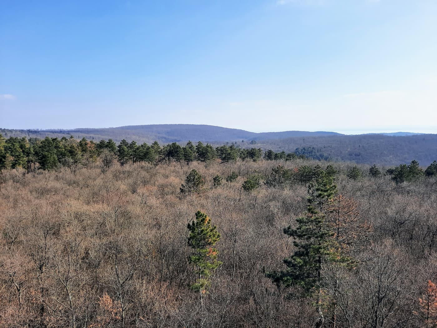 Kilátás, amiért érdemes útra kelni – A Padkűi-kilátó panorámája