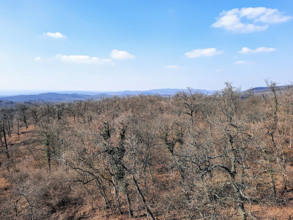 Kilátás, amiért érdemes útra kelni – A Padkűi-kilátó panorámája