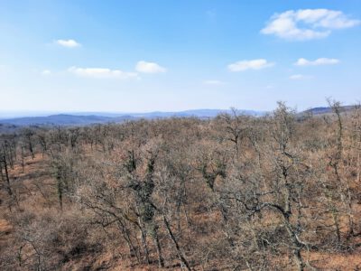 Kilátás, amiért érdemes útra kelni – A Padkűi-kilátó panorámája