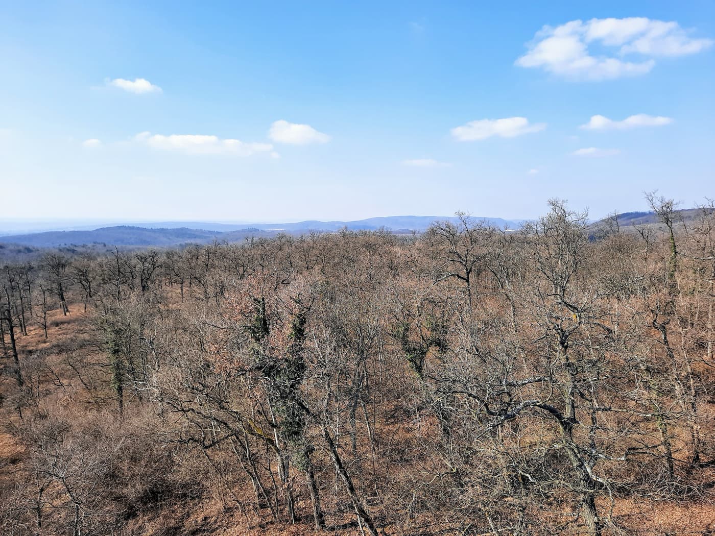 Kilátás, amiért érdemes útra kelni – A Padkűi-kilátó panorámája