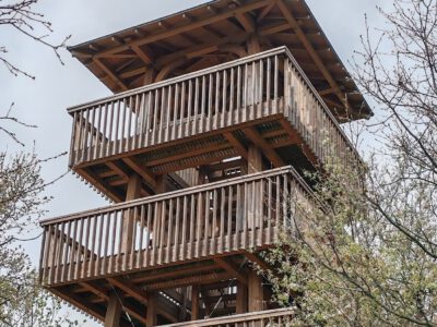 Halom-hegyi Vulkán tanösvény – ha egy könnyű, mégis látványos tavaszi túrára vágysz