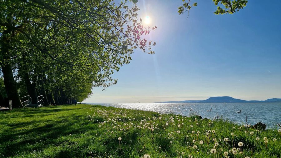 A Balaton zöld kápolnája – Barangolás a balatonboglári Vejtey Ferenc sétányon