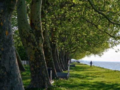 A Balaton zöld kápolnája – Barangolás a balatonboglári Vejtey Ferenc sétányon