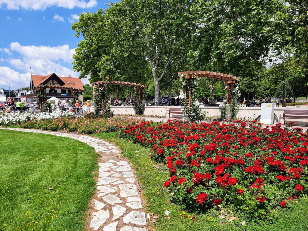 A Balaton virágba borult szíve: Rózsakert Balatonfüreden