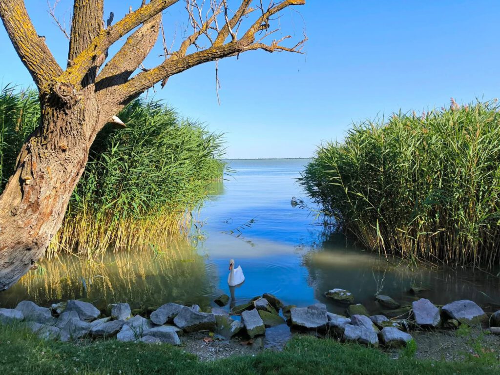 Balatongyörök, a Balaton nyugati kapujának egyik legszebb települése