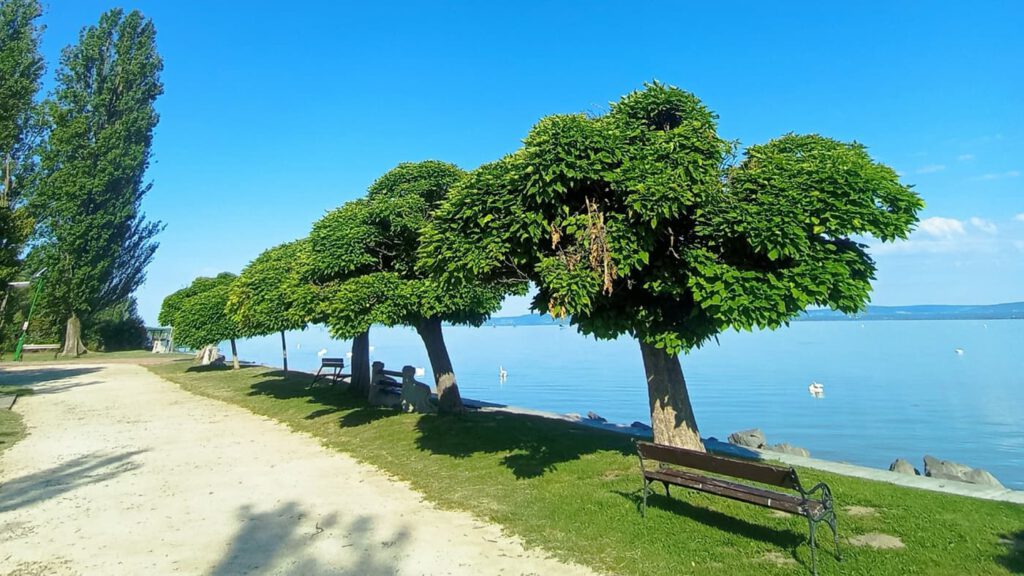 Balatonszárszó – hangulatos üdülőhely a Balaton déli partján