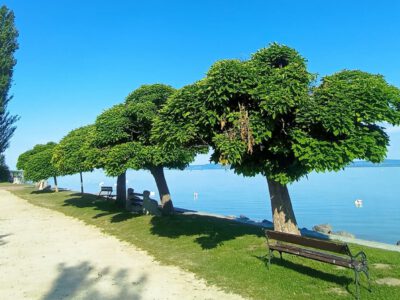Balatonszárszó – hangulatos üdülőhely a Balaton déli partján