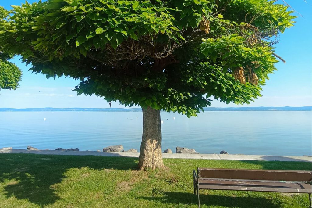 Balatonszárszó – hangulatos üdülőhely a Balaton déli partján
