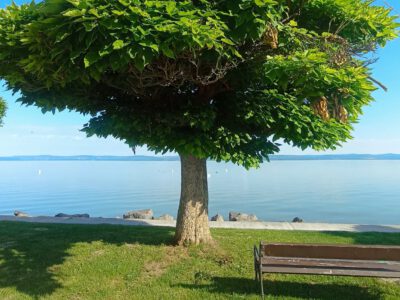 Balatonszárszó – hangulatos üdülőhely a Balaton déli partján
