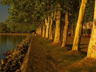 A Balaton egyik legszebb sétánya: a balatonföldvári Kvassay sétány