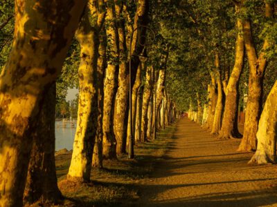 A Balaton egyik legszebb sétánya: a balatonföldvári Kvassay sétány