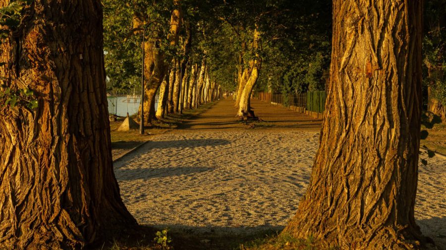 A Balaton egyik legszebb sétánya: a balatonföldvári Kvassay sétány