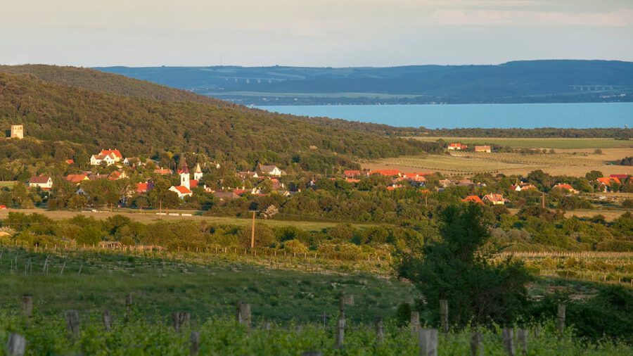 Halünnep 2025 Dörgicse