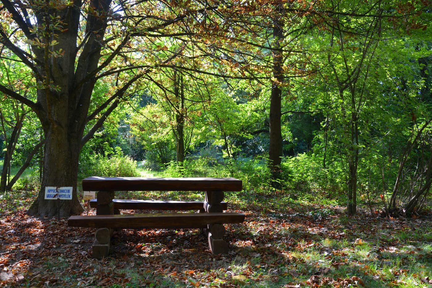Szeptember 22-től látogatható a Georgikon Botanikus Kert Keszthelyen