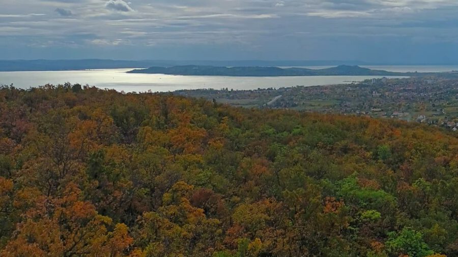 Csákány-hegy: panorámás magaslat Csopak felett